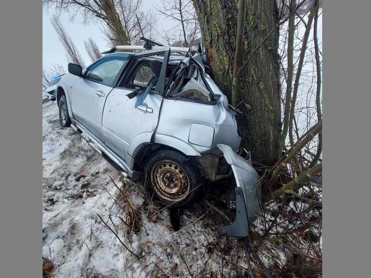 Под Воронежем «Мицубиси» вылетел с дороги и врезался в дерево
