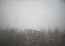 В течение недели в Москве ожидается небольшой снег, новый снегопад прогнозируется в четверг