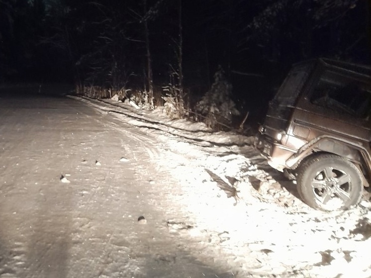 Водитель Mercedes Gelandewagen въехал в дерево в Петрозаводске и сбежал