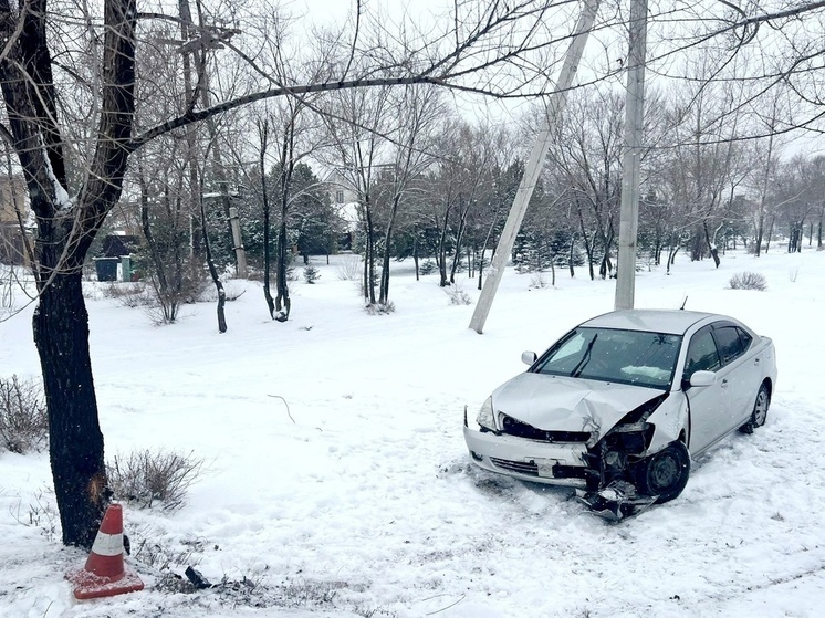 В Хакасии водитель врезался в дерево