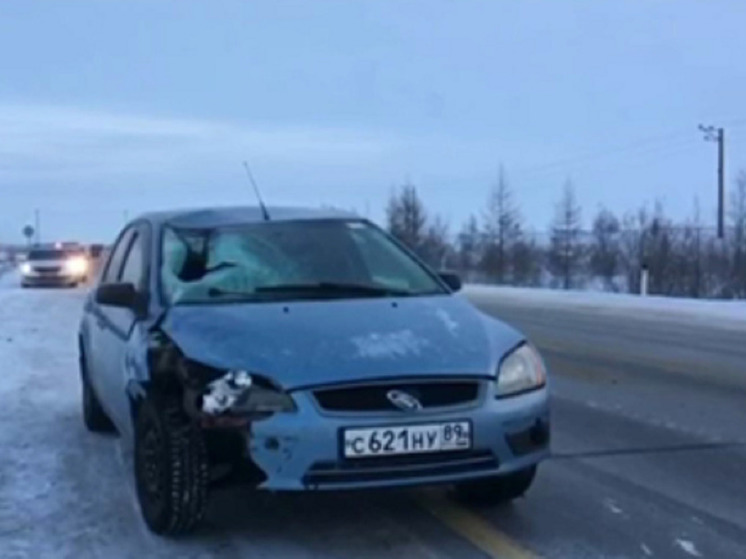 На трассе Сургут — Салехард иномарка сбила пешехода