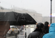 В Петербурге 28 ноября ожидается усиление ветра. Погода в целом ухудшится, сообщили в пресс-службе ГУ МЧС по Петербургу.