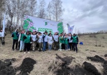 В 2023 году в рамках акций «Сад памяти» и «Сохраним лес» в Белгородской области появилось 2,6 млн деревьев