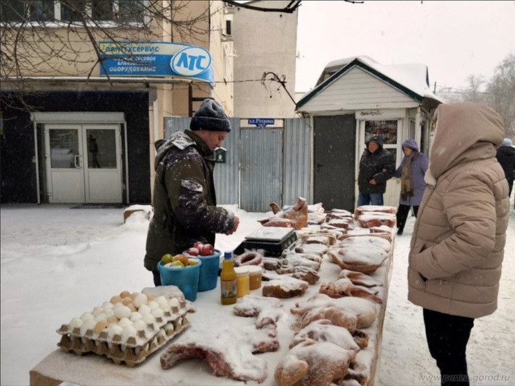 В Пензе предпринимателей, торгующих на улице в снегопад, отправили на сезонные ярмарки