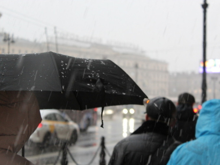 В МЧС петербуржцев предупредили об усилении ветра до 18 м/с 28 ноября