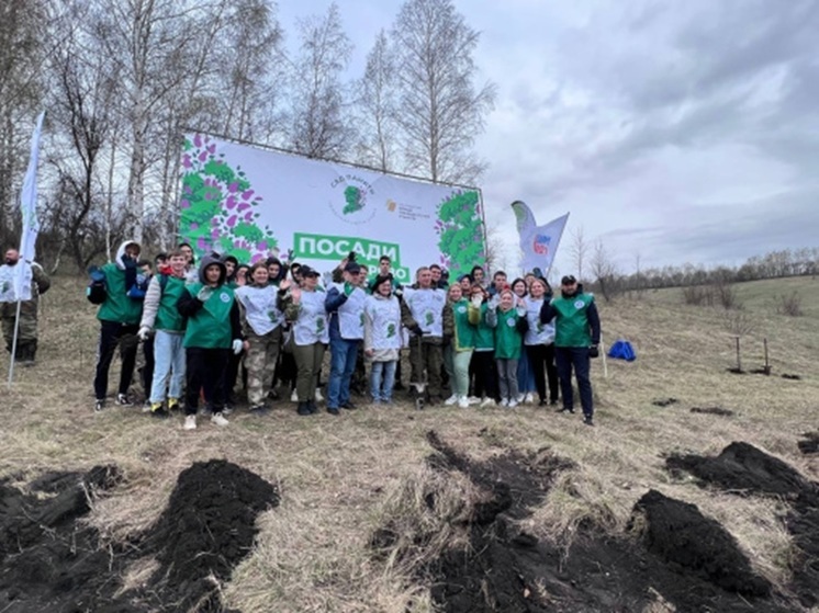 В 2023 году в Белгородской области высадили более 2,6 млн деревьев