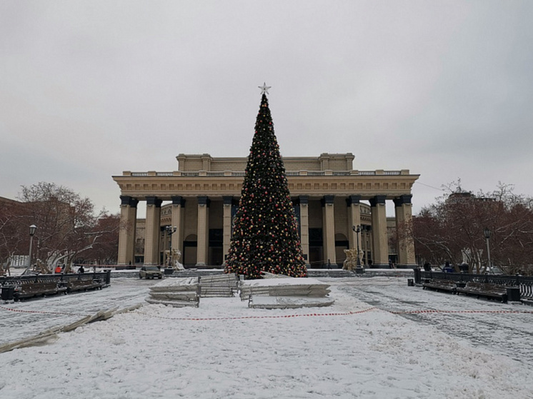 В Новосибирске установили главную новогоднюю елку на площади Ленина