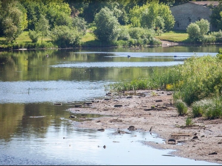 30 млн рублей потратят на очистку реки Псковы от водной растительности
