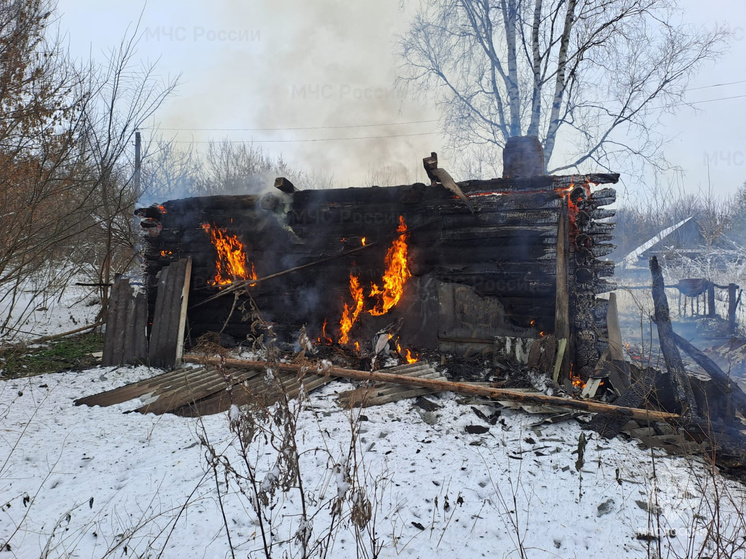 Пожар в жилом доме под брянским Почепом унес жизни двух людей