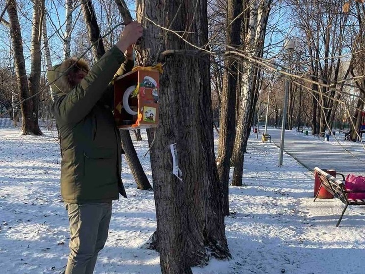 В Тюмени в сквере Юности позаботились о пернатых