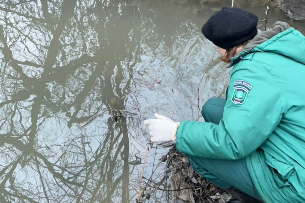 В Татарстане экологи ищут хозяев загрязняющих реку трубы