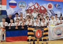 Дончане завоевали почти девяносто медалей