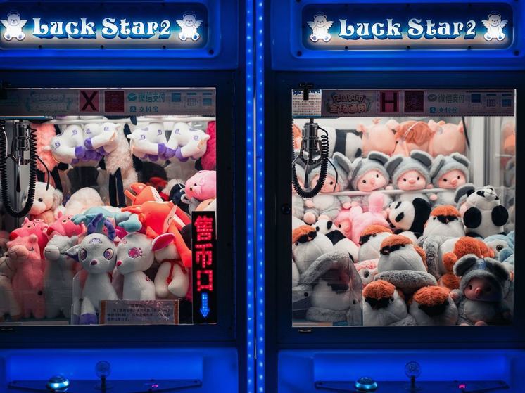 В Смоленске полицейские поймали игрушечного вора