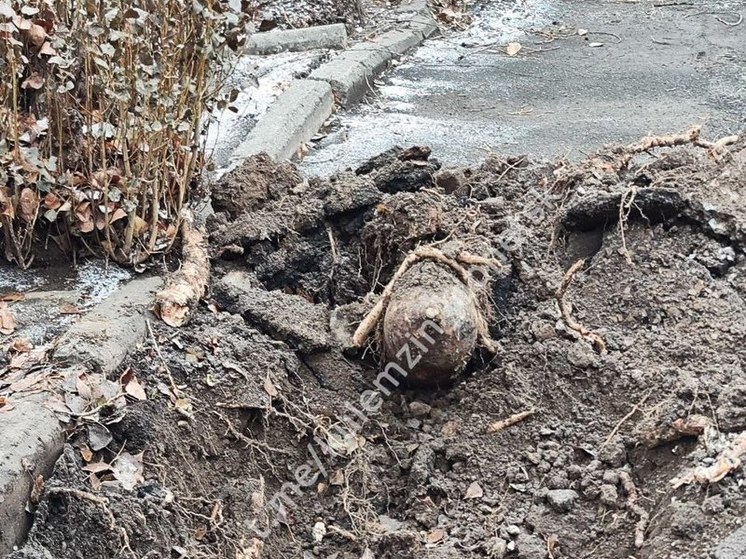 Боеприпас времен Великой Отечественной войны был найден на территории донецкой школы