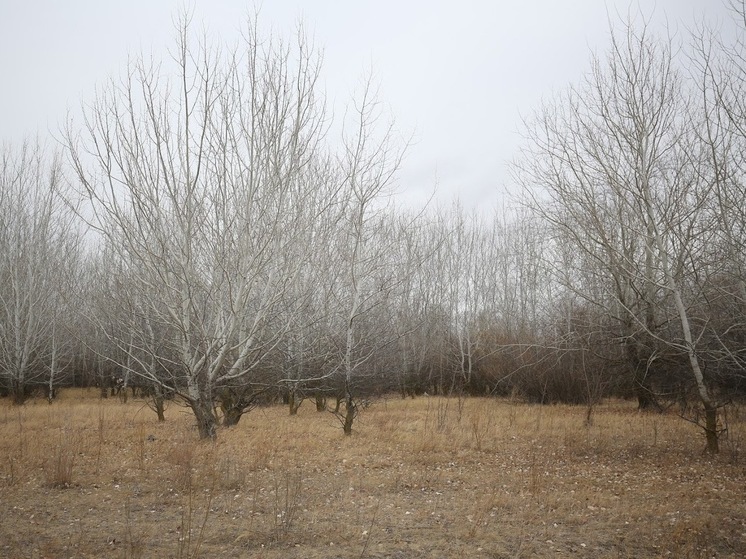В Астраханской области 28 ноября ожидается похолодание