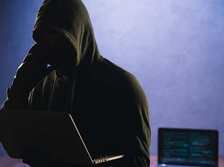 Полиция назвала три города Карелии, где мошенники обогатились больше всего