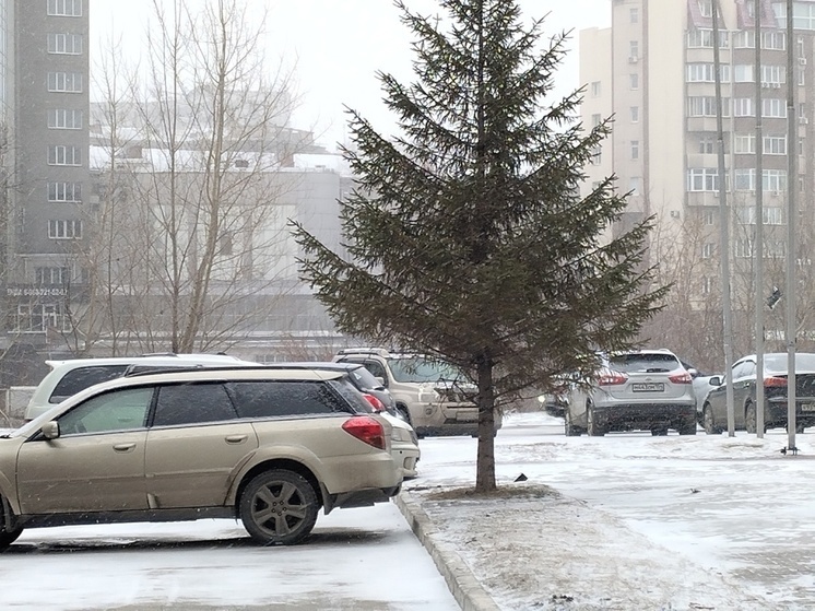 В Новосибирске сохранится аномально теплая погода