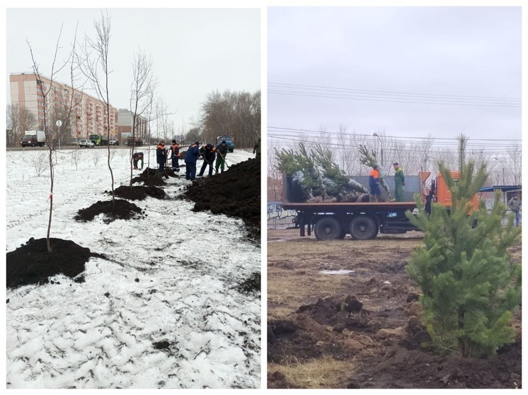 Мэр Омска Шелест рассказал, как прошло озеленение в городе в этом году