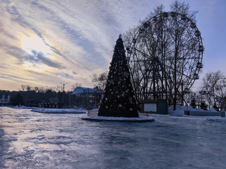 Предварительно территорию откроют 16 декабря