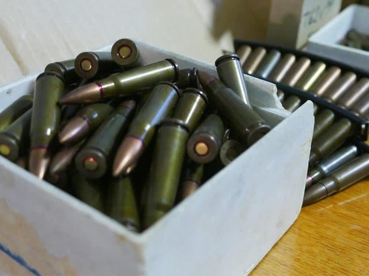 826 боевых патронов сдал Росгвардии житель Иркутска