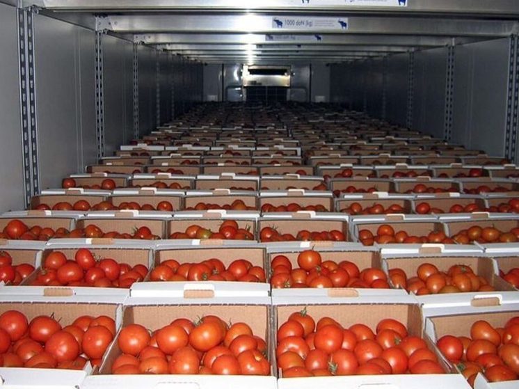 Незаконный ввоз 36 тонн помидоров пресекли тюменские таможенники