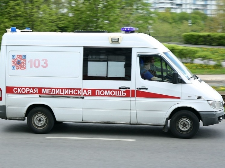 Двоих рабочих придавило упавшей пластиной на складе в Новой Москве