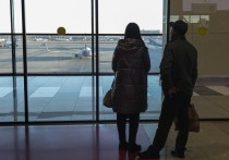По данным сервиса «Яндекс. Расписание», не менее 24 авиарейсов задержаны и ещё шесть отменены в трех столичных аэропортах – Внуково, Домодедово и Шереметьево