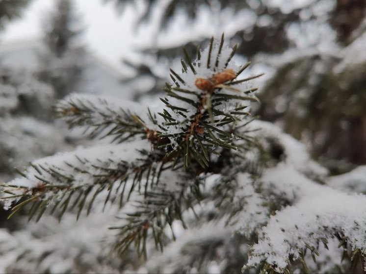 Морозы до 45 и снега меньше нормы — узнали погоду на декабрь в Забайкалье