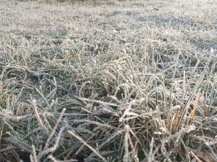 Жителей Подмосковья предупредили о возвращении морозов