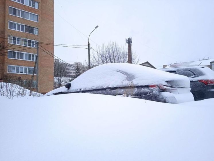 Жителей Балашихи призвали подключиться к уборке снега
