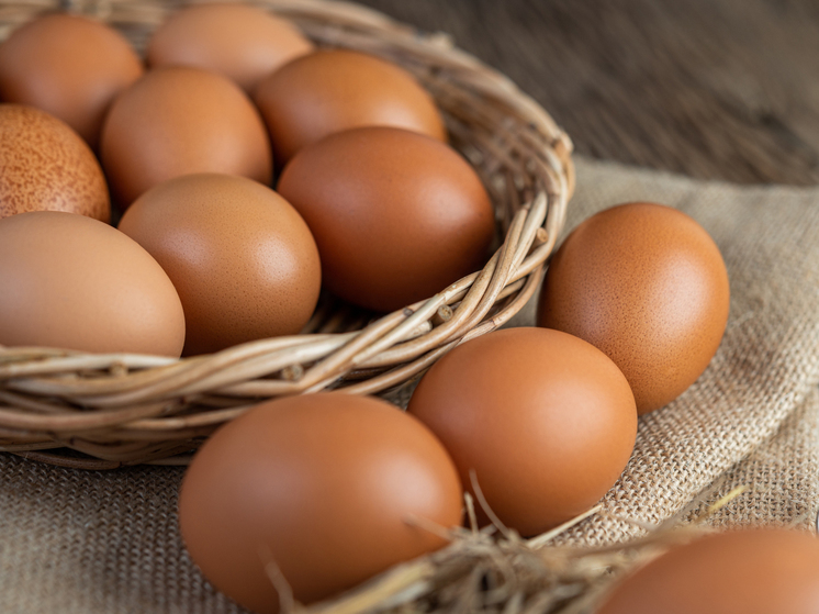 В Новосибирской области 2 птицефабрики отказались от производства яиц