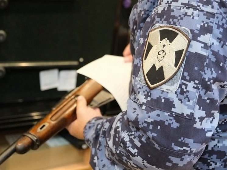 В Курской области за неделю выявили 14 нарушений в хранении оружия