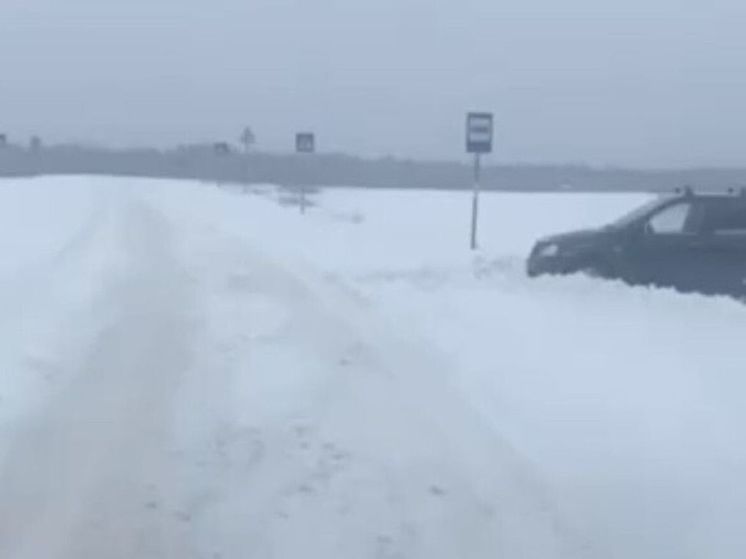 Из-за метели на дорогах в Подмосковье образовались сугробы