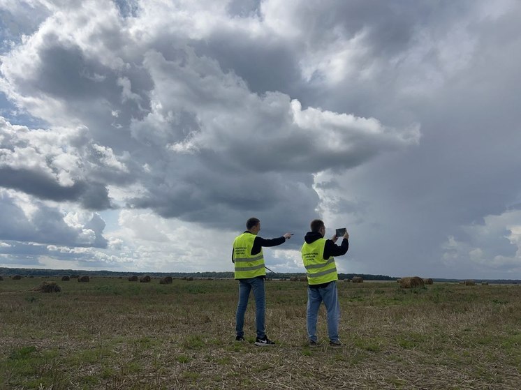 С начала года в Подмосковье было устранено свыше 15,3 тысячи земельных нарушений