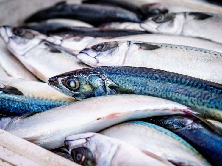 Диетолог Тихомирова назвала самые полезные морепродукты