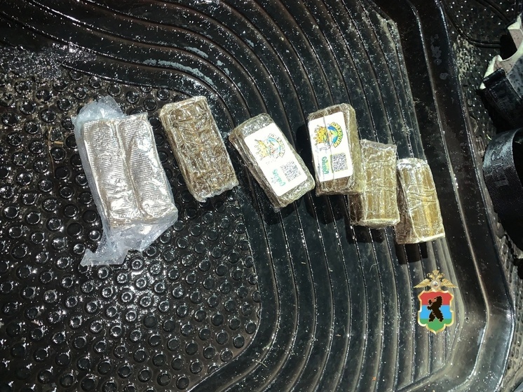 Наркоторговца задержали в Петрозаводске