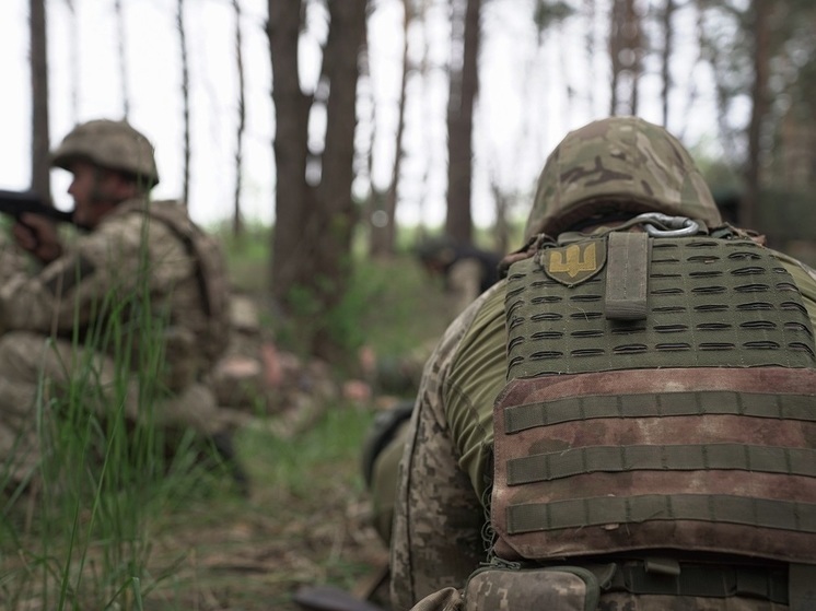 Гагин: группа бойцов ВСУ подорвалась на своих минах под Донецком