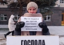 В Оренбурге 24 ноября руководитель АНО «Мы нашли вам друга» Татьяна Романова провела одиночный пикет
