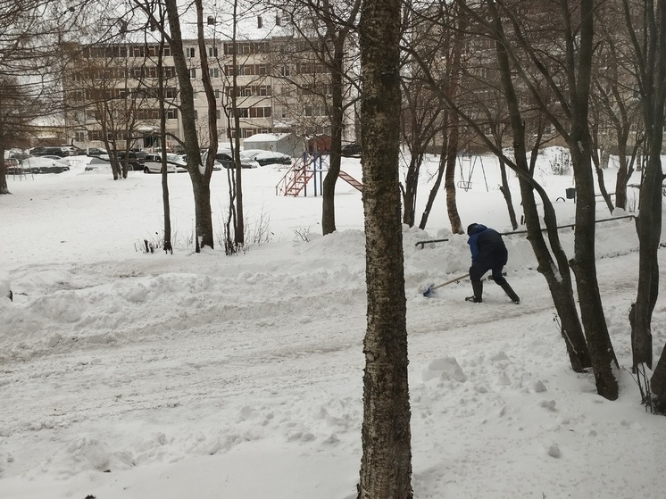 Мужчина в одиночку расчистил весь двор в Петрозаводске