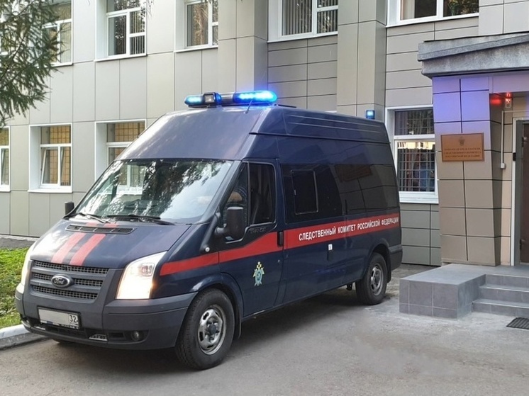 За гибель ребенка в брянской Унече осудили врача и фельдшера