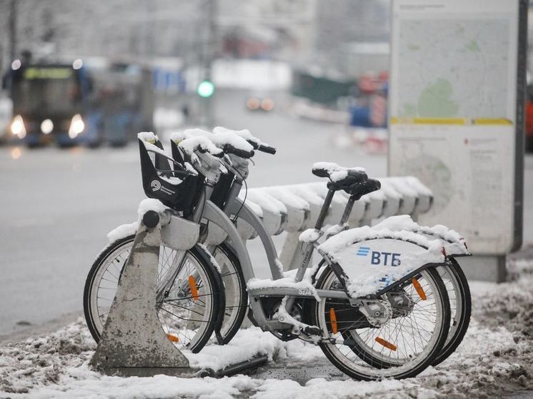 В России предложили создать велополицию