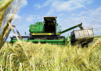Эксперт Корбут: «Макароны не подешевеют от остановки вывоза пшеницы» 
