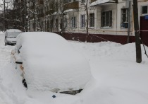 Снегопад, прошедший в понедельник, 27 ноября, в столице, оказался самым сильным с ноября 2012 года