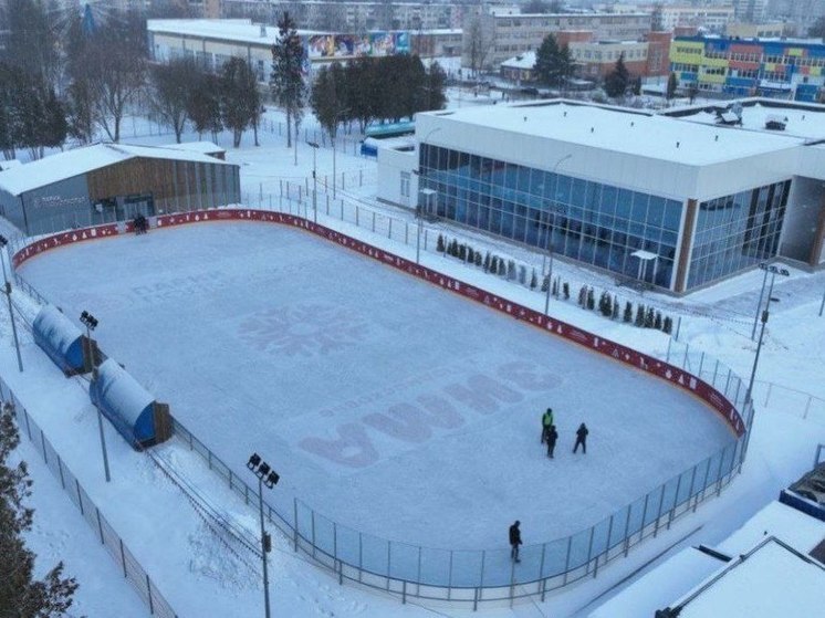 Каток в парке «Питомник» откроется 1 декабря