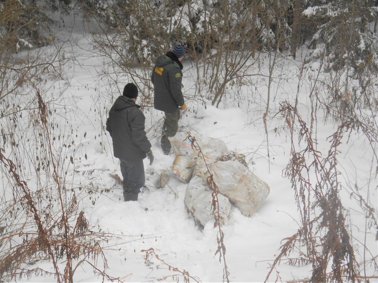 Любителям оставлять мешки с мусором в лесу напомнили о штрафах