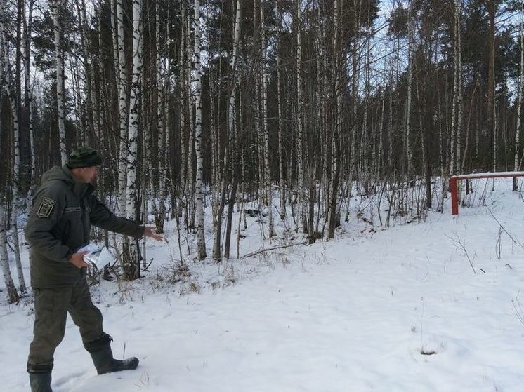 Южноуральцам показали, как прививают от бешенства лесных обитателей