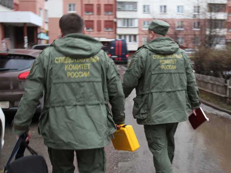 Дети из Журавинки добираются до школы по мосту без перил