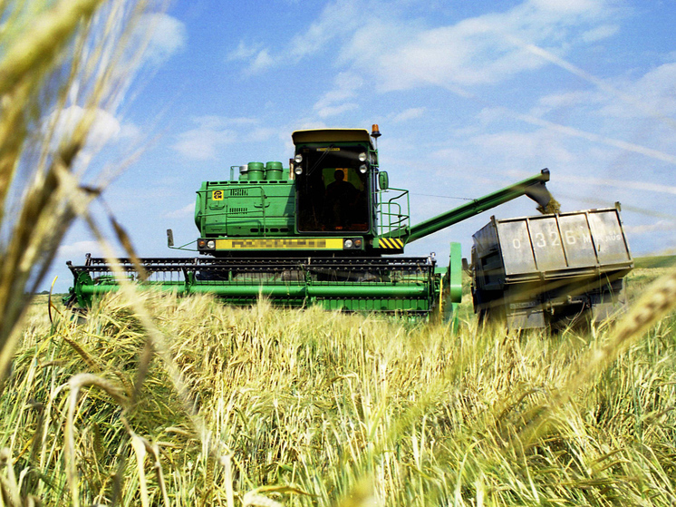 Эксперт Корбут: «Макароны не подешевеют от остановки вывоза пшеницы»
