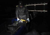 Двоих браконьеров, незаконно ловивших рыбу, поймали сотрудники транспортной полиции в Московской области