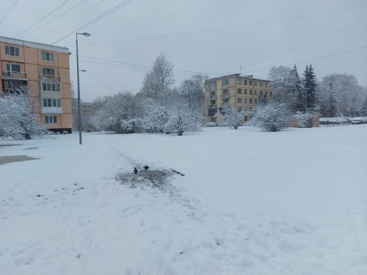 Врач Шарапова рассказала петербуржцам, как организм может реагировать на смену погоды